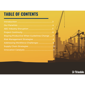 “Digital Resilience in Construction”
